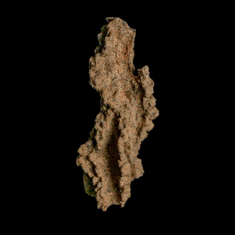 2.6" Fulgurite Petrified Lightning Strike Glass Sahara Desert Algeria - Fossil Age Minerals