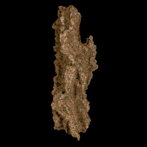 2.6" Fulgurite Petrified Lightning Strike Glass Sahara Desert Algeria - Fossil Age Minerals