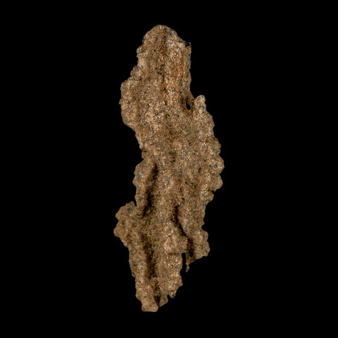 2.6" Fulgurite Petrified Lightning Strike Glass Sahara Desert Algeria - Fossil Age Minerals