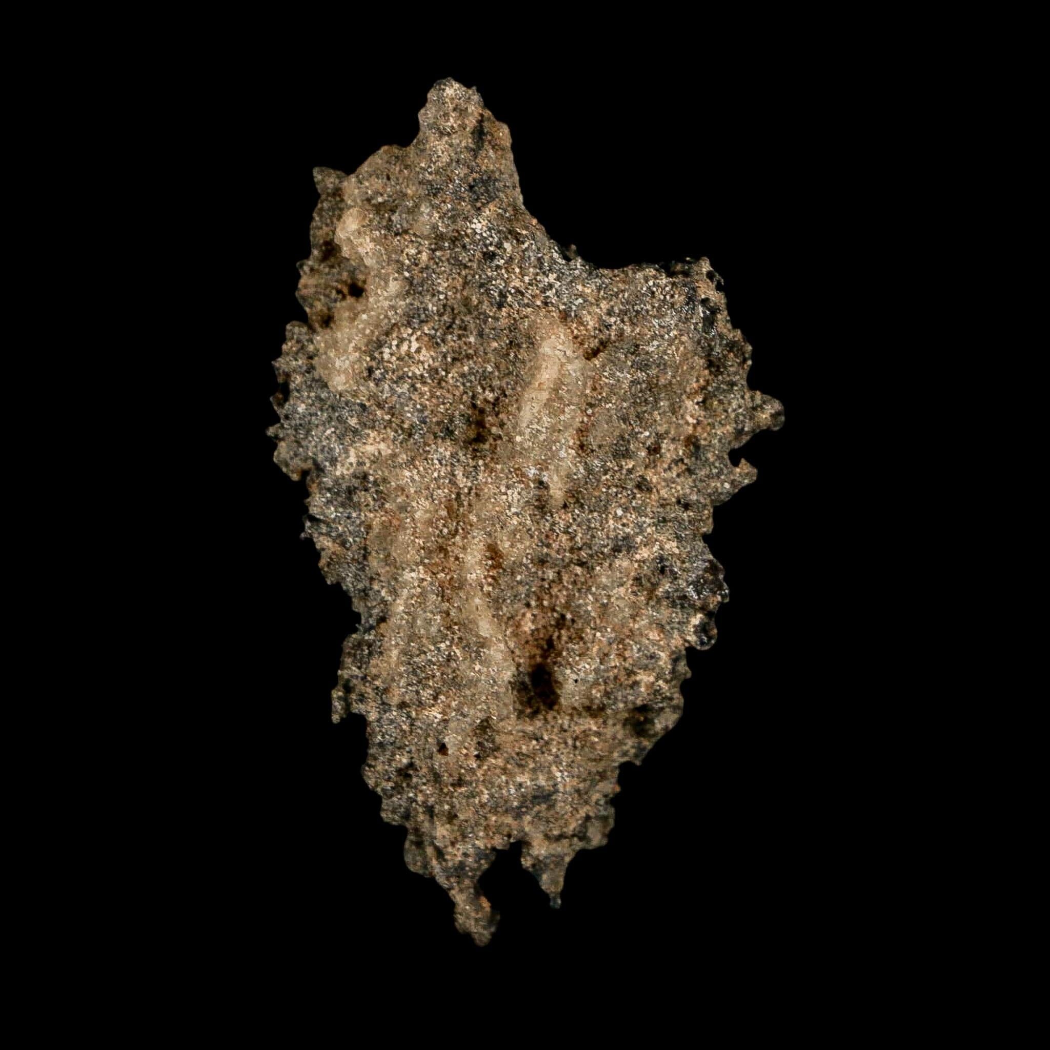 2.1" Fulgurite Petrified Lightning Strike Glass Sahara Desert Algeria - Fossil Age Minerals