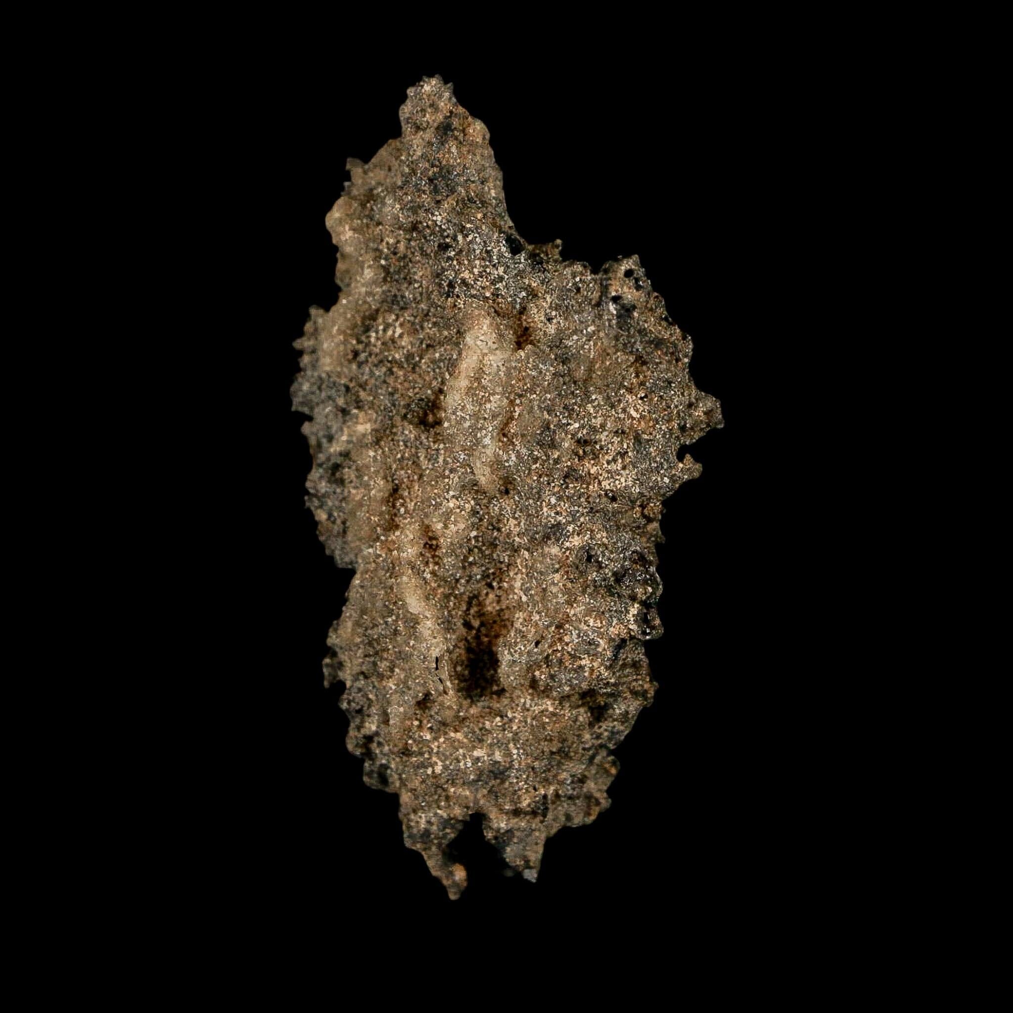 2.1" Fulgurite Petrified Lightning Strike Glass Sahara Desert Algeria - Fossil Age Minerals