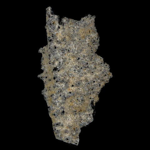 2.2" Fulgurite Petrified Lightning Strike Glass Sahara Desert Algeria - Fossil Age Minerals