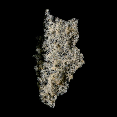 2.2" Fulgurite Petrified Lightning Strike Glass Sahara Desert Algeria - Fossil Age Minerals