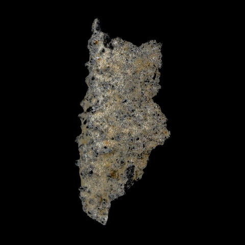 2.2" Fulgurite Petrified Lightning Strike Glass Sahara Desert Algeria - Fossil Age Minerals
