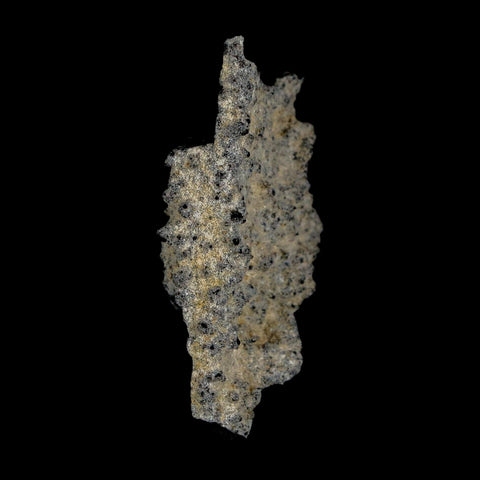 2.2" Fulgurite Petrified Lightning Strike Glass Sahara Desert Algeria - Fossil Age Minerals