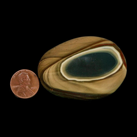 2.3" Polychrome Jasper Natural Polished Mineral Palm Stone Madagascar