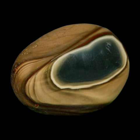 2.3" Polychrome Jasper Natural Polished Mineral Palm Stone Madagascar