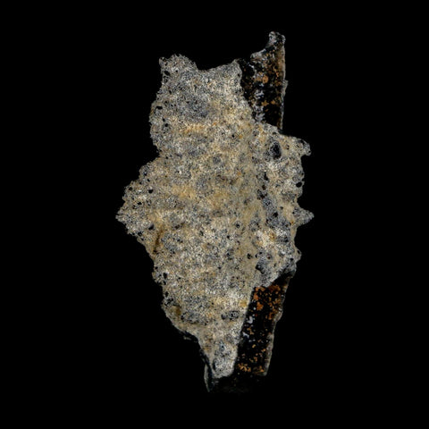 2.2" Fulgurite Petrified Lightning Strike Glass Sahara Desert Algeria - Fossil Age Minerals