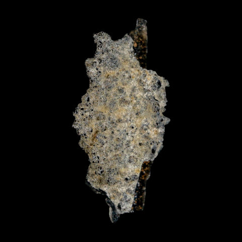 2.2" Fulgurite Petrified Lightning Strike Glass Sahara Desert Algeria - Fossil Age Minerals