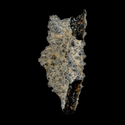 2.2" Fulgurite Petrified Lightning Strike Glass Sahara Desert Algeria - Fossil Age Minerals