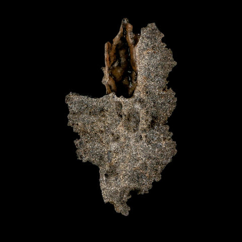 3.2" Fulgurite Petrified Lightning Strike Glass Sahara Desert Algeria - Fossil Age Minerals