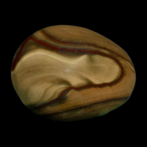 2.3" Polychrome Jasper Natural Polished Mineral Palm Stone Madagascar