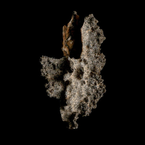 3.2" Fulgurite Petrified Lightning Strike Glass Sahara Desert Algeria - Fossil Age Minerals