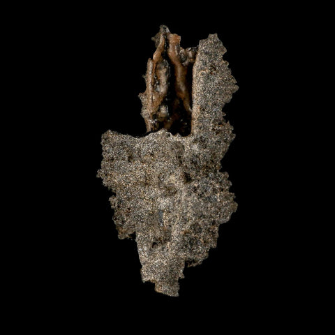 3.2" Fulgurite Petrified Lightning Strike Glass Sahara Desert Algeria - Fossil Age Minerals