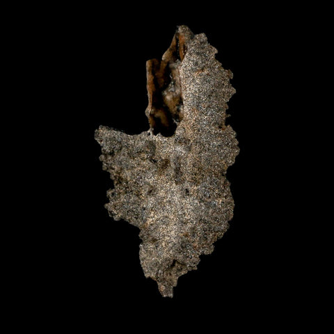 3.2" Fulgurite Petrified Lightning Strike Glass Sahara Desert Algeria - Fossil Age Minerals