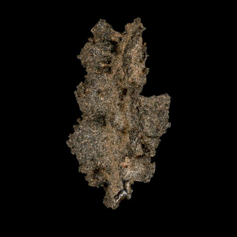3.2" Fulgurite Petrified Lightning Strike Glass Sahara Desert Algeria - Fossil Age Minerals