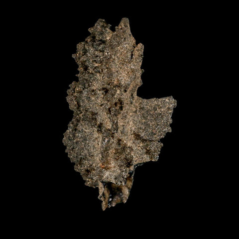 3.2" Fulgurite Petrified Lightning Strike Glass Sahara Desert Algeria - Fossil Age Minerals