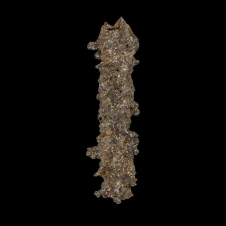 1.8" Fulgurite Petrified Lightning Strike Glass Sahara Desert Algeria