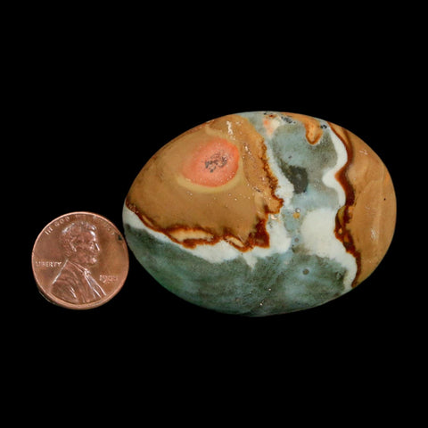 2" Polychrome Jasper Natural Polished Mineral Palm Stone Madagascar