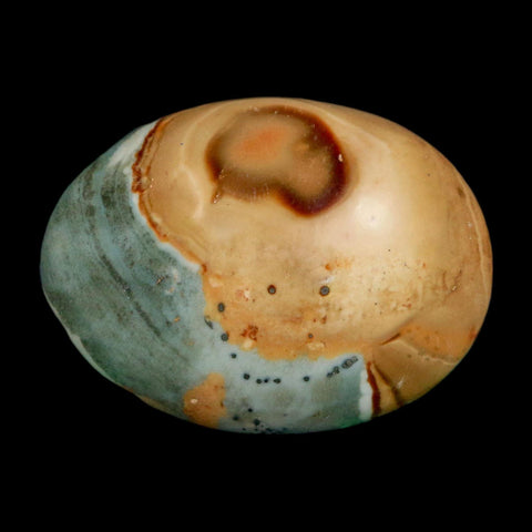 2" Polychrome Jasper Natural Polished Mineral Palm Stone Madagascar