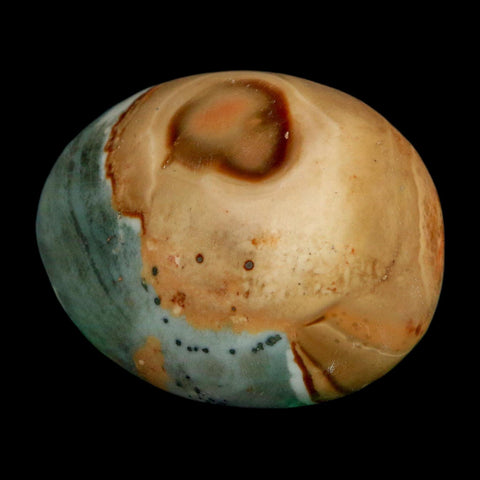 2" Polychrome Jasper Natural Polished Mineral Palm Stone Madagascar