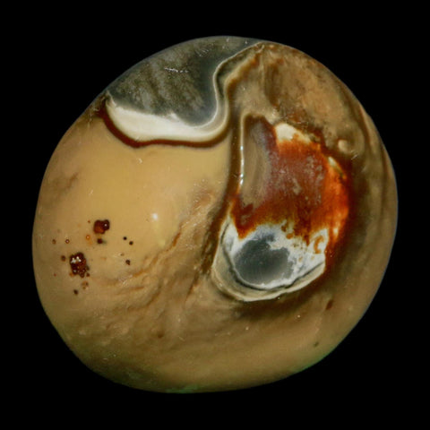 2.1" Polychrome Jasper Natural Polished Mineral Palm Stone Madagascar