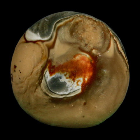 2.1" Polychrome Jasper Natural Polished Mineral Palm Stone Madagascar
