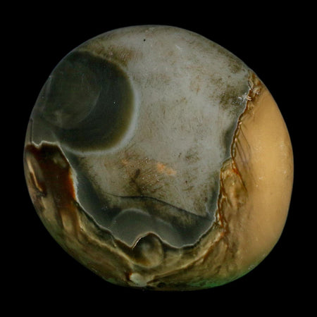 2.1" Polychrome Jasper Natural Polished Mineral Palm Stone Madagascar