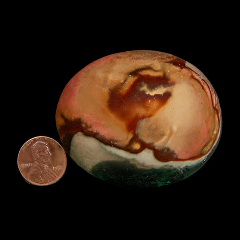 2.4" Polychrome Jasper Natural Polished Mineral Palm Stone Madagascar
