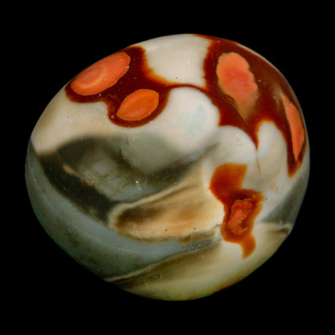 2.1" Polychrome Jasper Natural Polished Mineral Palm Stone Madagascar