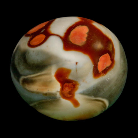 2.1" Polychrome Jasper Natural Polished Mineral Palm Stone Madagascar