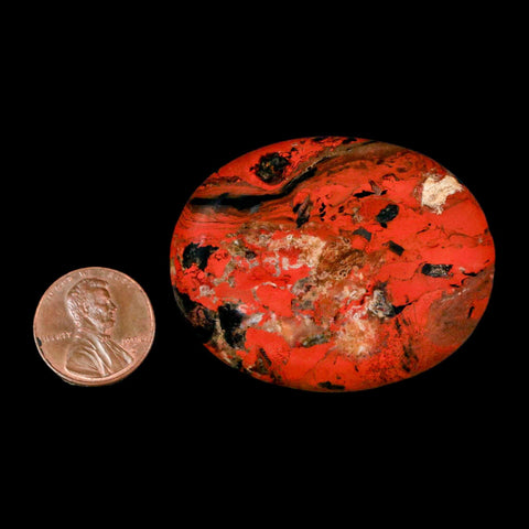 2" Polished Natural Brecciated Jasper Stone Worry Palm Stone Minas Gerais Brazil - Fossil Age Minerals