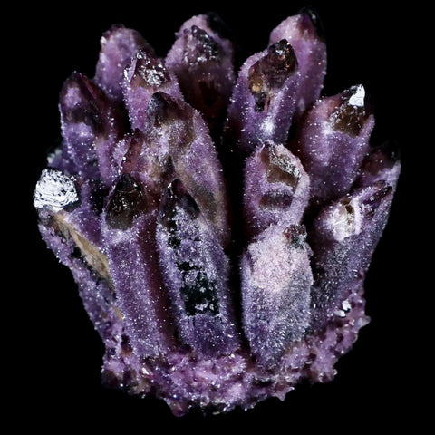 3.4" Purple Phantom Ghost Quartz Crystal, Chrorite Cluster Mineral Specimen - Fossil Age Minerals