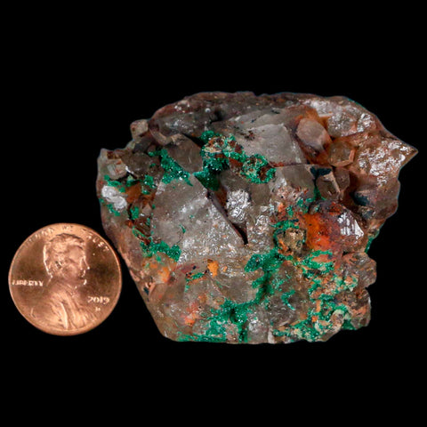 2.1" Azurite Crystals & Malachite On Crystal Mineral Specimen Tiznit Morocco - Fossil Age Minerals