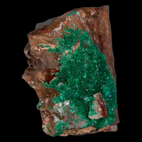 2.1" Azurite Crystals & Malachite On Crystal Mineral Specimen Tiznit Morocco - Fossil Age Minerals