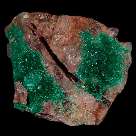 2.1" Azurite Crystals & Malachite On Crystal Mineral Specimen Tiznit Morocco - Fossil Age Minerals