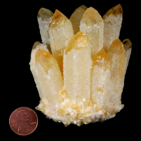 3.1" Yellow Phantom Ghost Quartz Crystal, Chrorite Cluster Mineral Specimen - Fossil Age Minerals