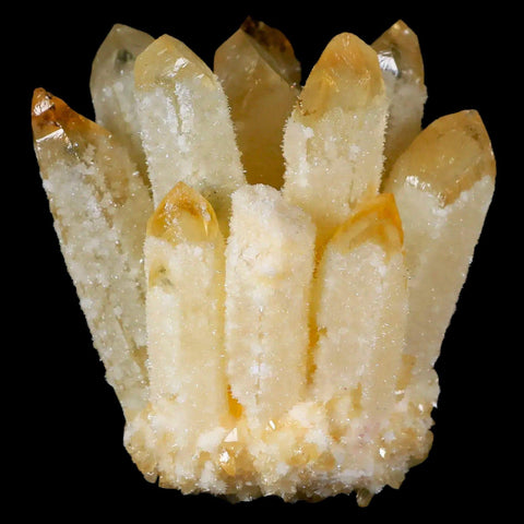 3.1" Yellow Phantom Ghost Quartz Crystal, Chrorite Cluster Mineral Specimen - Fossil Age Minerals