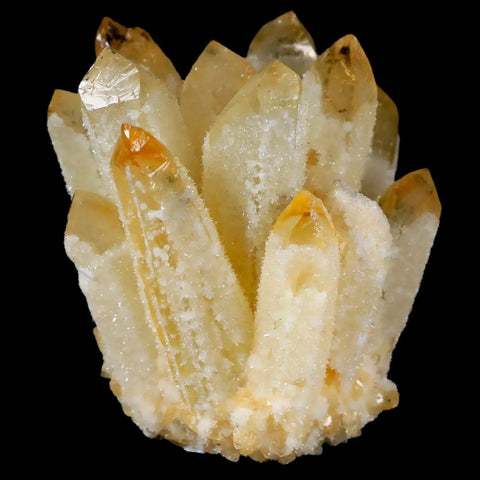 3.1" Yellow Phantom Ghost Quartz Crystal, Chrorite Cluster Mineral Specimen - Fossil Age Minerals