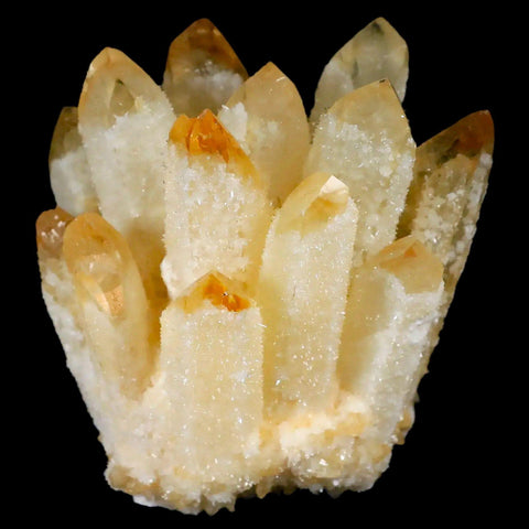 3.1" Yellow Phantom Ghost Quartz Crystal, Chrorite Cluster Mineral Specimen - Fossil Age Minerals