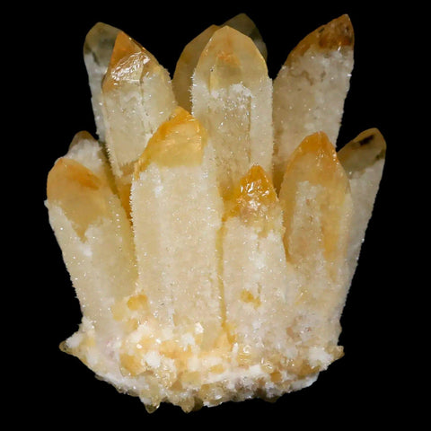 3.1" Yellow Phantom Ghost Quartz Crystal, Chrorite Cluster Mineral Specimen - Fossil Age Minerals