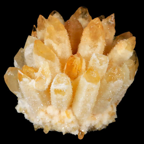 3.5" Yellow Phantom Ghost Quartz Crystal, Chrorite Cluster Mineral Specimen - Fossil Age Minerals