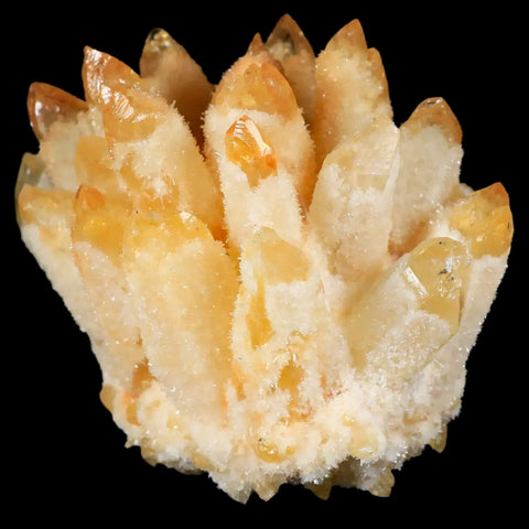 3.5" Yellow Phantom Ghost Quartz Crystal, Chrorite Cluster Mineral Specimen - Fossil Age Minerals