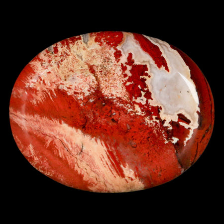 2" Polished Natural Brecciated Jasper Stone Worry Palm Stone Minas Gerais Brazil