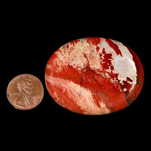 2" Polished Natural Brecciated Jasper Stone Worry Palm Stone Minas Gerais Brazil - Fossil Age Minerals
