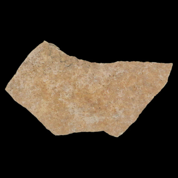 2.8