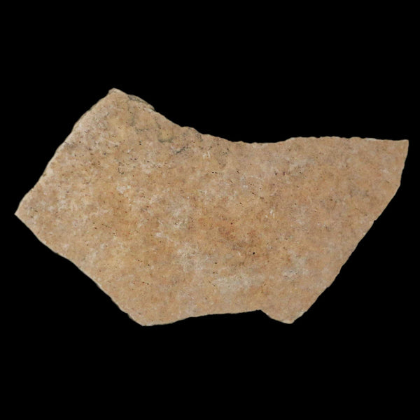 2.8