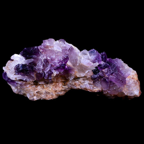 3.3" Purple Fluorite on White Barite Blades Crystal Minerals Taouirirt Morocco - Fossil Age Minerals