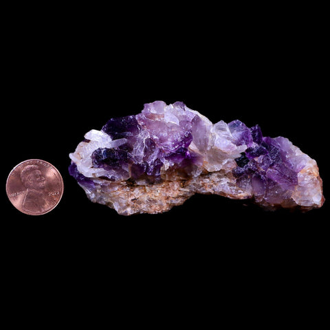 3.3" Purple Fluorite on White Barite Blades Crystal Minerals Taouirirt Morocco - Fossil Age Minerals