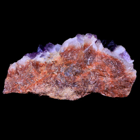 3.3" Purple Fluorite on White Barite Blades Crystal Minerals Taouirirt Morocco - Fossil Age Minerals